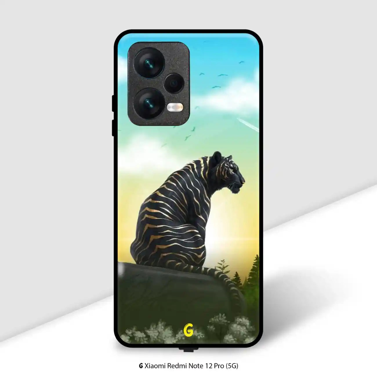 Redmi Note 12 Pro (5G)