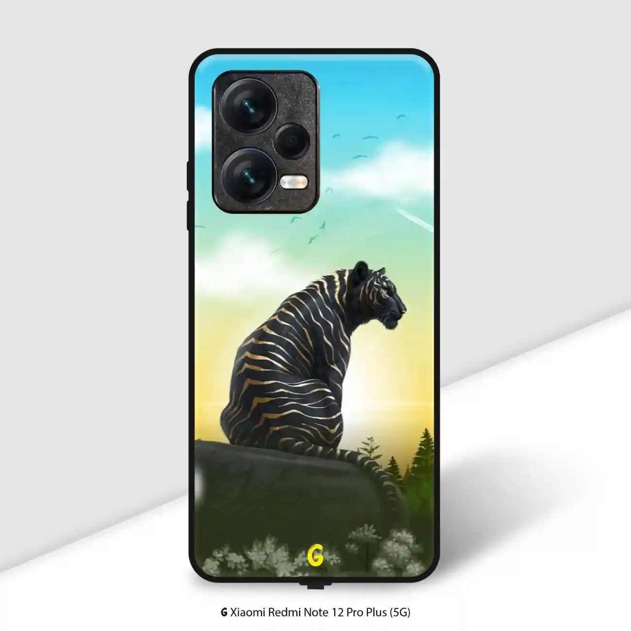 Redmi Note 12 Pro Plus (5G)