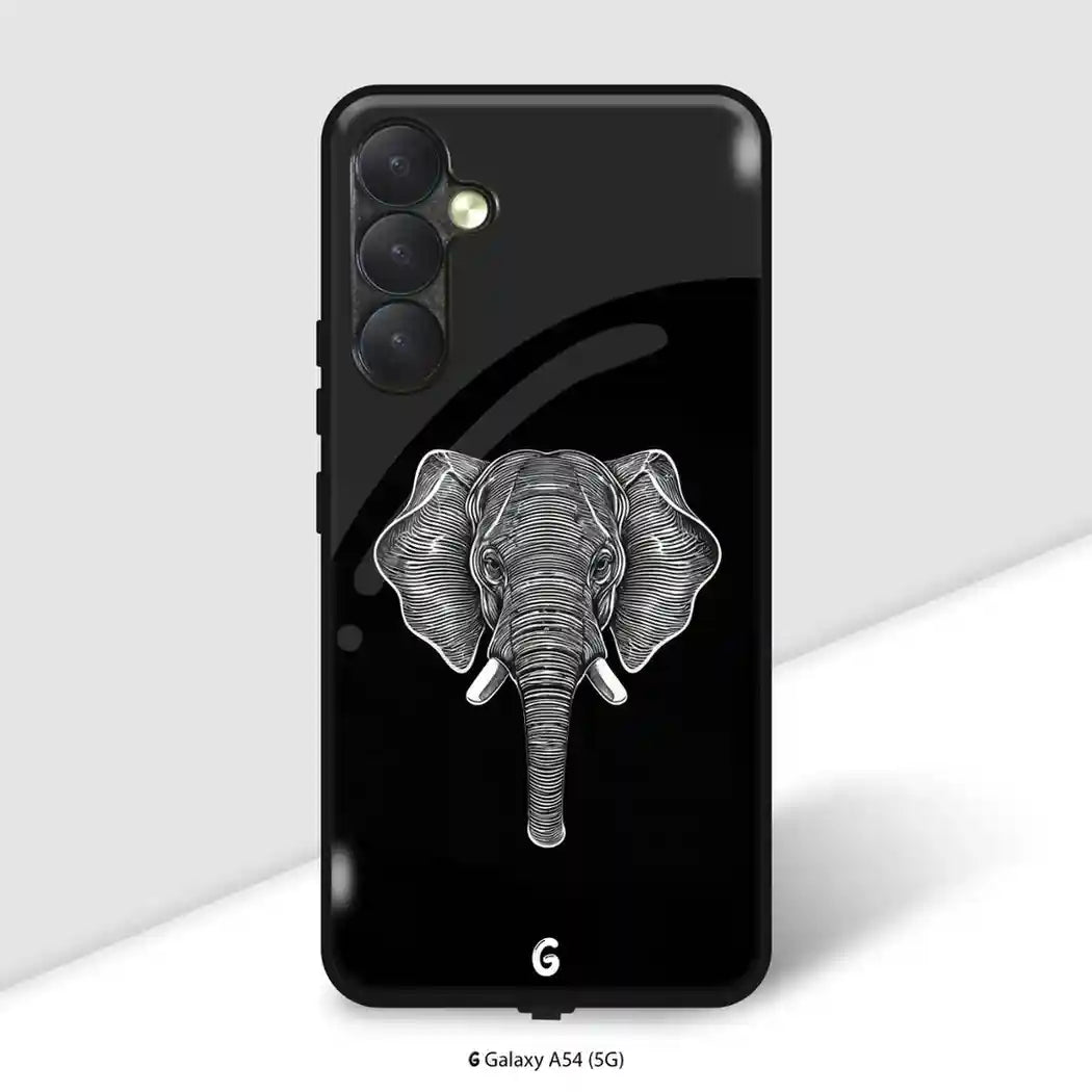 Galaxy A54 (5G)