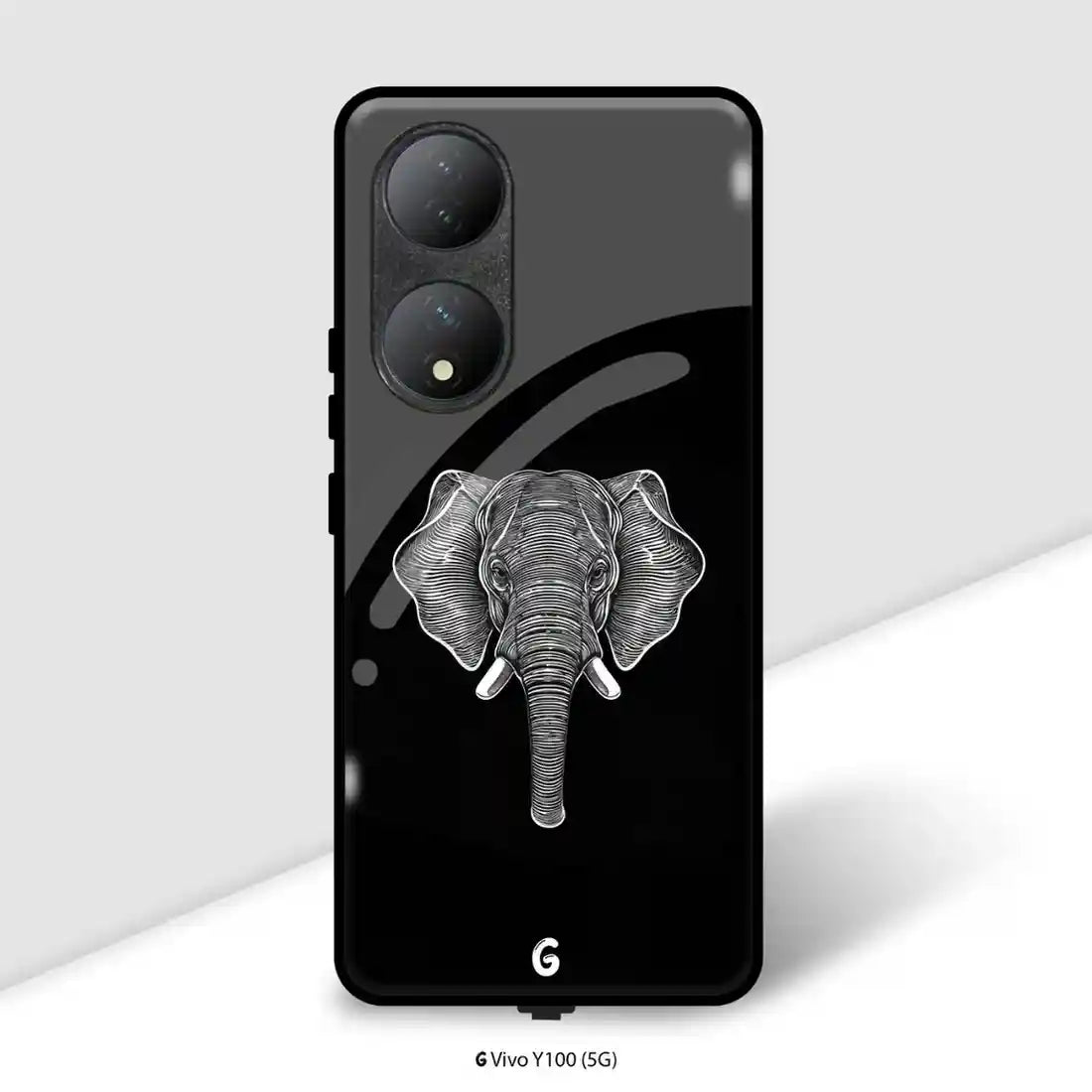 Vivo Y100 (5G)