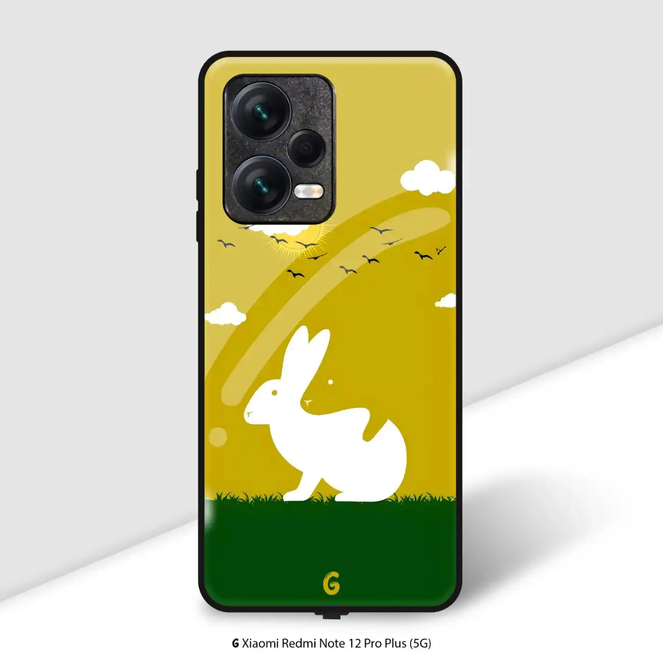 Redmi Note 12 Pro Plus (5