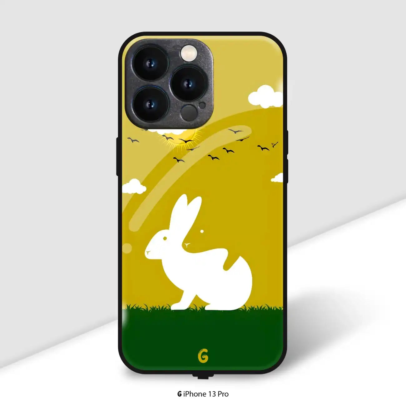iPhone 13 Pro